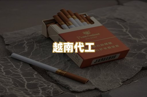 越南代工